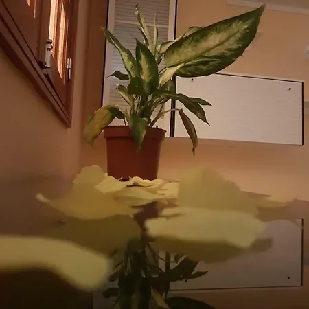Hogar De Los Suenos Vecindario (Gran Canaria)